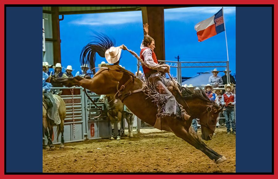 Support Rodeo Team Endowment